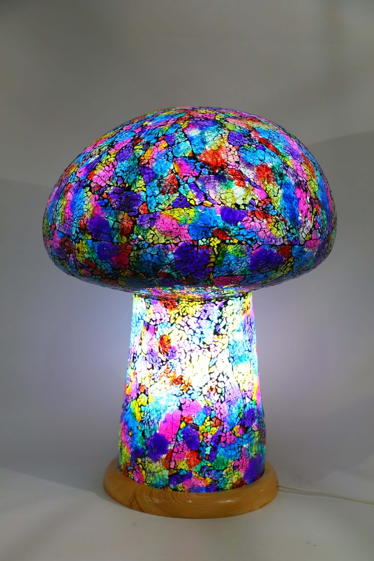 Champigion GM (craquelé)